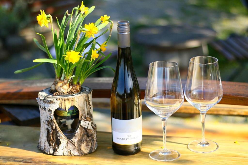 Séance de dégustation privée dans notre cave avec verres et carafes